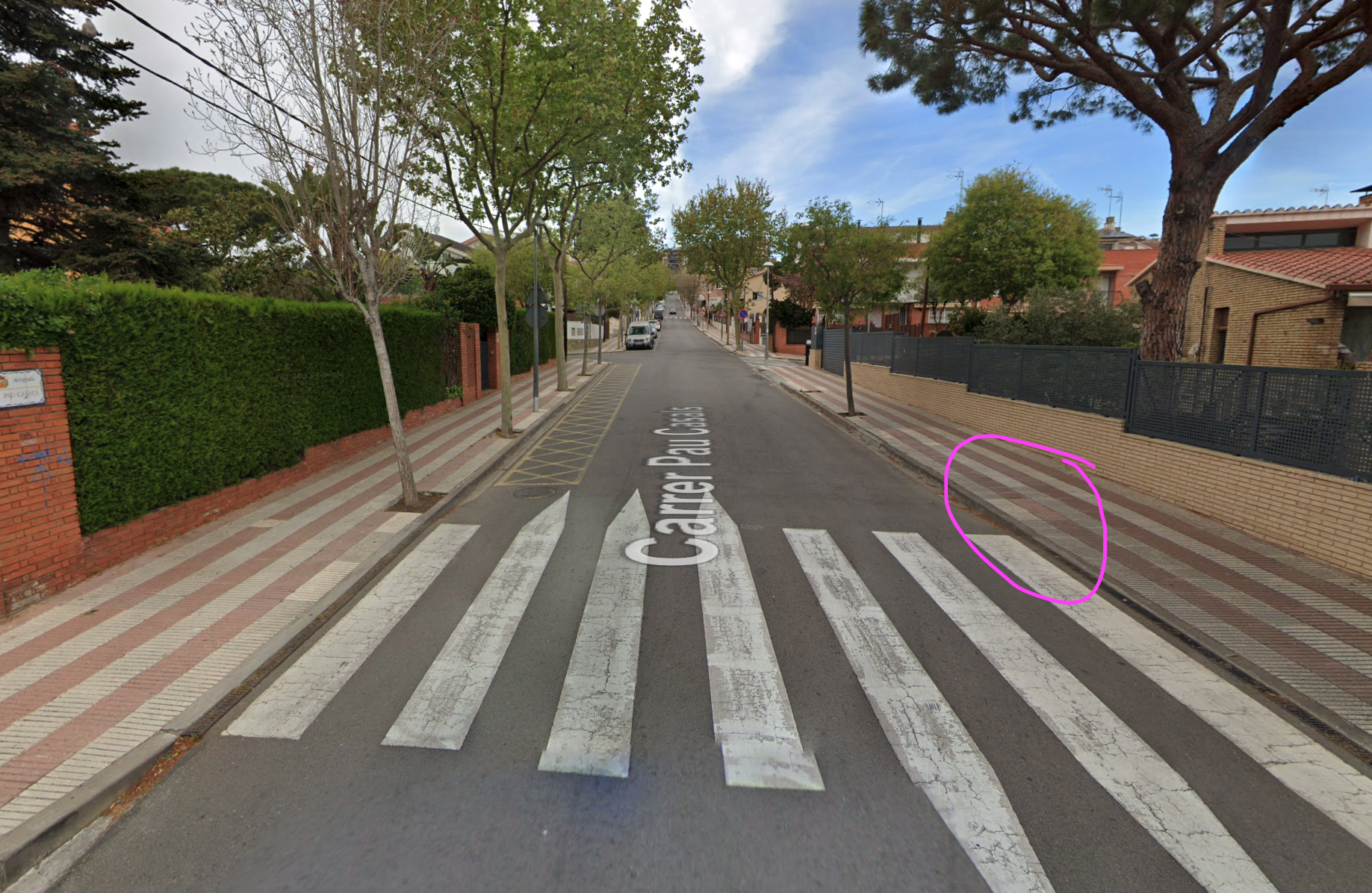 Imatge pels mitjans: Reobrir escocells i replantar arbres