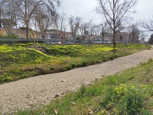 Millores riera 2.jpg